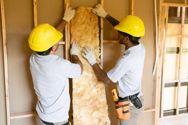 Best Residential Insulation Services  in Killian, LA